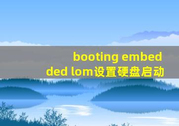 booting embedded lom设置硬盘启动